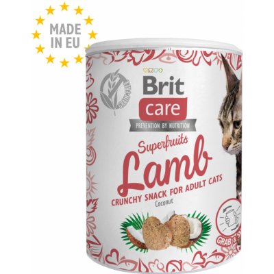 Brit Care Snack Superfruits Lamb Adult 100 g – Zboží Mobilmania