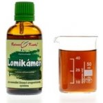 Bylinné kapky Lomikámen tinktura 50 ml – Hledejceny.cz