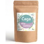 Sibi Čaga & Hlíva ústřičná prášek 50 g – Hledejceny.cz