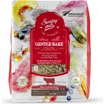 Sunday Pets Gentle Bake Adult Small & Medium Breed Beef 1,3 kg – Hledejceny.cz