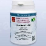 Giovanni Maciocia T82 Čistý kov Clear Metal 60 kapslí – Hledejceny.cz