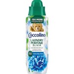 Coccolino parfém na praní First Bloom 20 PD 460 ml – Sleviste.cz