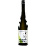 Weingut Braun Federspiel Ried Steinriegl Wachau Dac Veltlínské zelené suché bílé 2020 13,5% 0,75 l (holá láhev) – Hledejceny.cz