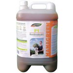 Lechuza Rostlinobudič 10 l – Sleviste.cz