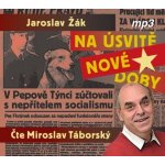 Na úsvitě nové doby - Jaroslav Žák – Hledejceny.cz