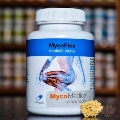 MycoMedica MycoFlex 90 kapslí – osobní odběr v Pardubicích a Jihlavě
