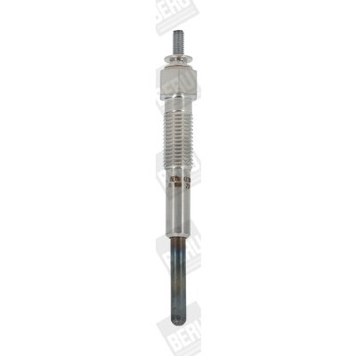Zhavici svicka BorgWarner (BERU) GV895 – Hledejceny.cz
