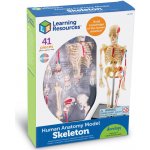 Learning Resources Anatomický model lidské kostry – Hledejceny.cz