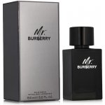 Burberry Mr. Burberry parfémovaná voda pánská 150 ml – Hledejceny.cz