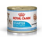 Royal Canin Starter Mother & Babydog Ultra Soft Mousse 195 g – Zbozi.Blesk.cz