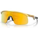 Oakley Resistor – Zbozi.Blesk.cz