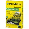 Osivo a semínko Travní osivo BARENBRUG RESILIENT BLUE ® LAWN - 1 kg