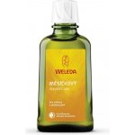 Weleda BIO Rakytníková šťáva šťáva pro podporu imunitního systému 250 ml – Hledejceny.cz