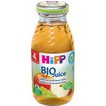 HiPP BIO Jablečno-hroznová 200 ml – Zboží Dáma