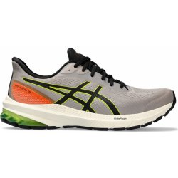 Asics GT-1000 12 TR 1011b761-200