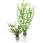 BiOrb Winter Flower zelené 29 cm – Zboží Mobilmania