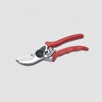 XTline XT93030 – Zboží Dáma