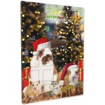 Natureland Adventní kalendář pro hlodavce 0,36 kg – Hledejceny.cz