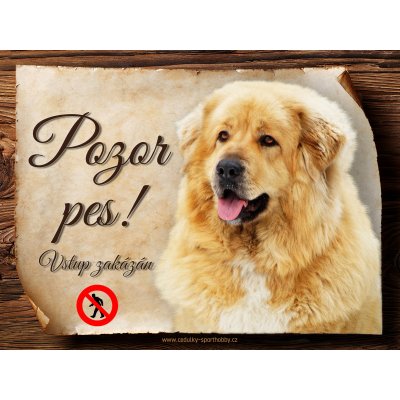 Sport hobby Cedulka Tibetská doga - Pozor pes zákaz 15 x 11 cm – Zboží Mobilmania