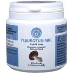 MRL Pleurotus 90 tablet – Hledejceny.cz