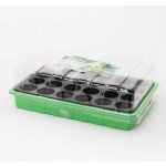 STREND Minipařeniště 24 rostlin 33 x 23 x 10 cm – HobbyKompas.cz
