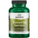 Swanson Boswellia Serrata 500 mg 120 kapslí – Zbozi.Blesk.cz