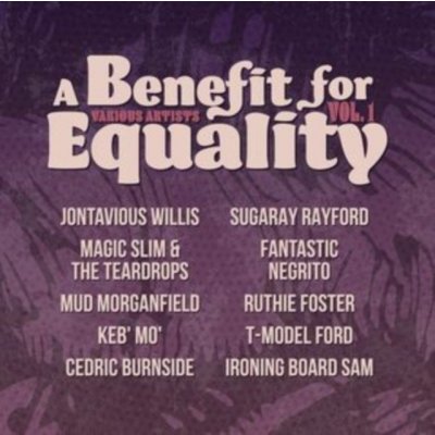 A Benefit for Equality Vinyl 12" Album Limited Edition LP – Zboží Mobilmania
