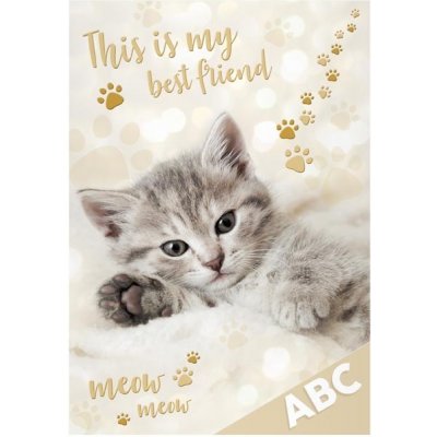 Desky na ABC kočka – Zboží Mobilmania