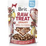 Brit Raw Treat Dog Digestion Chicken 40 g – Zboží Dáma