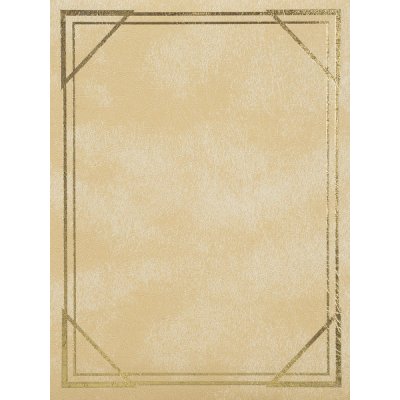 Album 13x18 pro 100 fotek Vinyl béžový – Zboží Živě