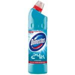 Domestos 24H Plus čisticí přípravek Atlantic fresh 750 ml – Hledejceny.cz