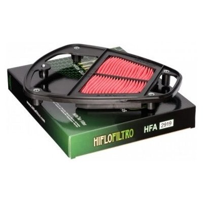 Vzduchový filtr HIFLOFILTRO HFA2919 – Hledejceny.cz