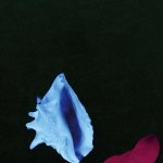 New Order Touched By the Hand Of God Single LP – Hledejceny.cz