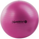 Ledragomma Gymnastik Ball Maxafe 65cm