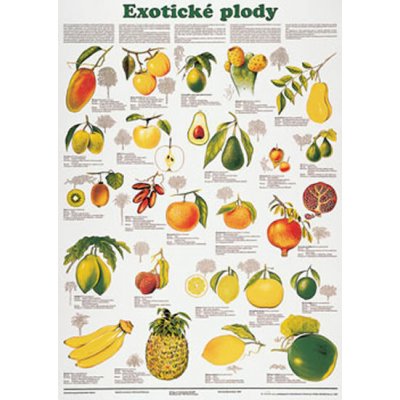 Plakát - Exotické plody – Zbozi.Blesk.cz