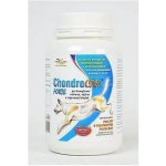 Orling - Chondrocan Forte 150 g – Hledejceny.cz