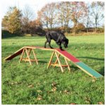 Trixie Agility lávka 456 x 64 x 30 cm do 80kg – Hledejceny.cz