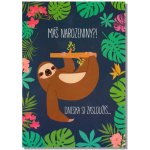 Albi Hrací přání k narozeninám LENOCHOD / LAZY SONG – Zboží Dáma