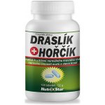 Nutristar Draslík + Hořčík 100 kapslí – Hledejceny.cz