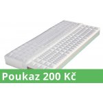 Dřevočal Manet – Zboží Dáma