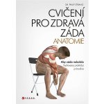 Cvičení pro zdravá záda - anatomie – Hledejceny.cz