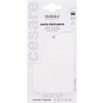 Mr&Mrs Fragrance Cesare Scented Cards Fresh Air – Hledejceny.cz