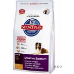 Hill’s Sensitive Stomach 2 x 12 kg – Hledejceny.cz