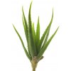 Květina umělá rostlina, Aloe vera zelená V41