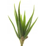 umělá rostlina, Aloe vera zelená V41 – Sleviste.cz