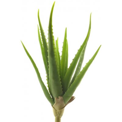 umělá rostlina, Aloe vera zelená V41