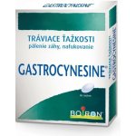 GASTROCYNÉSINE na pálení žáhy 60 tablet – Hledejceny.cz