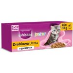 Whiskas Junior Drůbeží hody s kuřecím kachním drůbežím a krůtím v želé 40 x 85 g – Sleviste.cz
