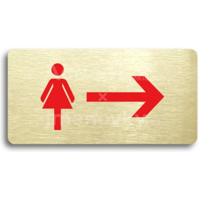 ACCEPT Piktogram WC ŽENY VPRAVO - zlatá tabulka - barevný tisk bez rámečku – Hledejceny.cz