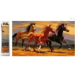 Norimpex Diamantové malování Tři hřebci 80 x 40 cm – Hledejceny.cz